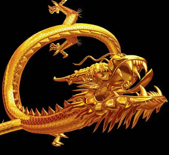 梧桐树保险 世纪龙腾保险