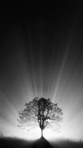 暗色系最受欢迎手机壁纸大全