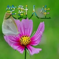 笑对人生图片头像和乐观笑对人生相符的头像点击鼠标右键下载