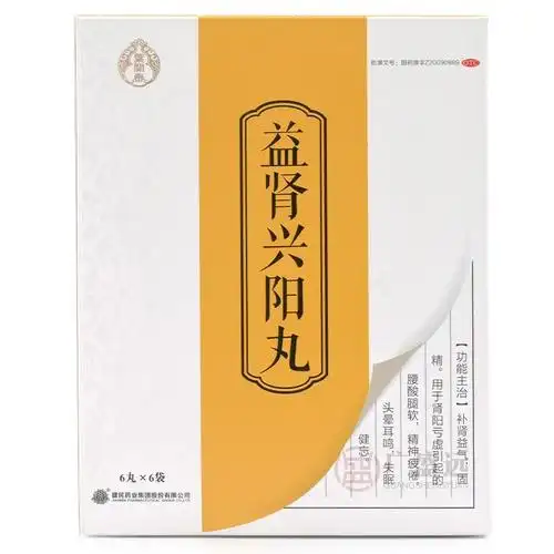 叶开泰益肾兴阳丸36丸补肾益气固精肾阳亏虚腰酸腿软头晕耳鸣gc5盒装6
