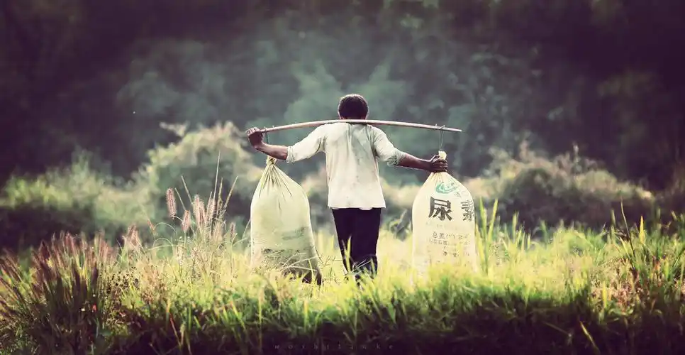 挑尿素的人 重担在肩  生活压力