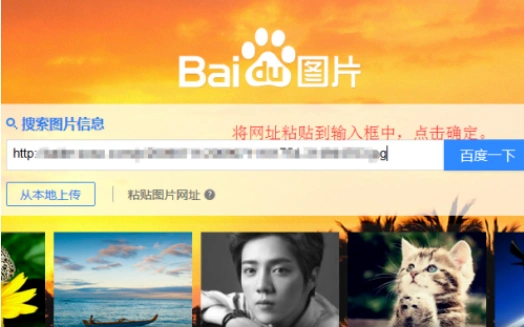 查看图片识别结果传送完成后,百度搜索会自动识别出图片信息.