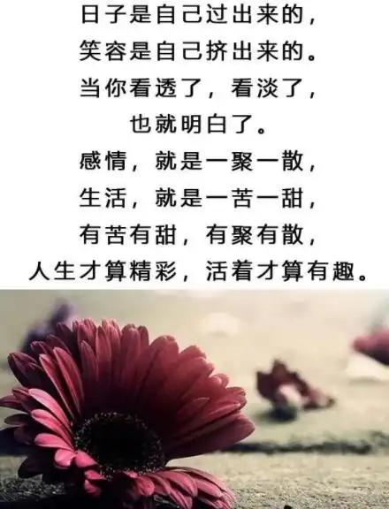 看淡看开无所谓图片