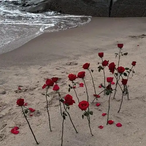 ins背景图ins质感高级感简约风背景图