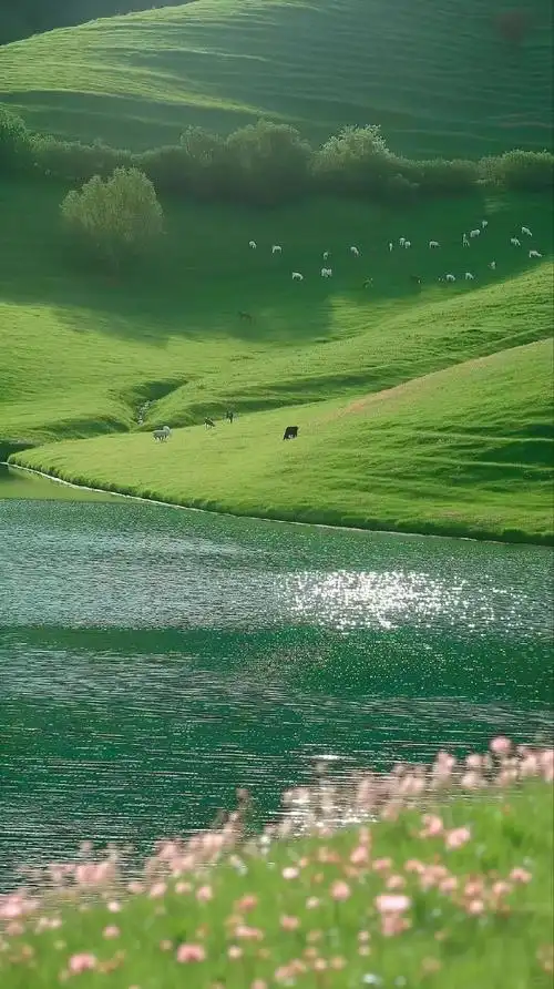 高清壁纸##无水印壁纸##手机壁纸##背景图##绿色