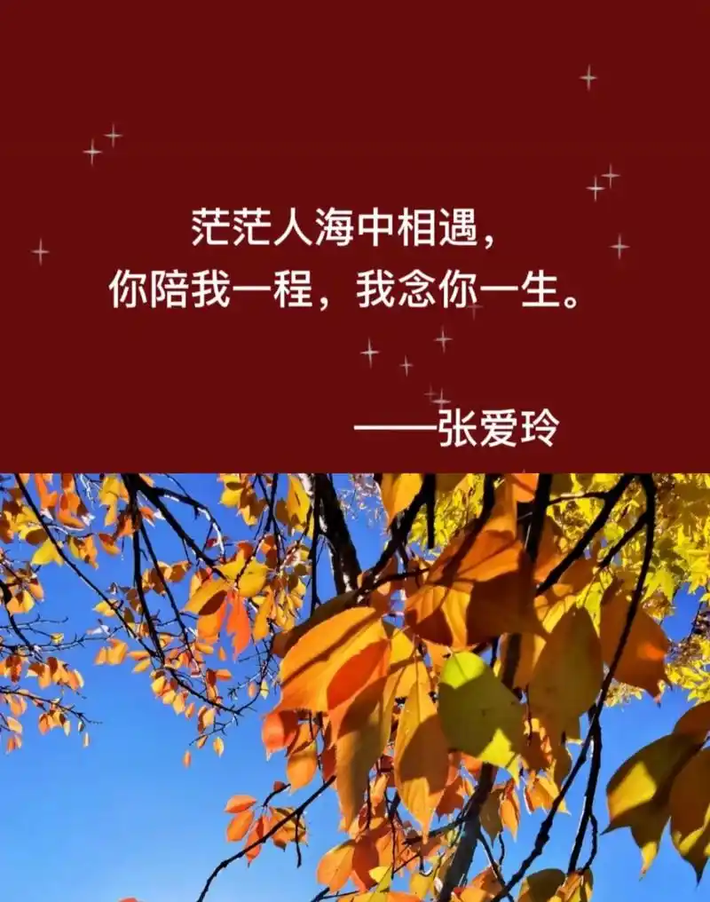 茫茫人海中相遇,你陪我一程,我念你一生