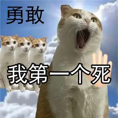 人类美好品质表情包网上超火的品质表情合集