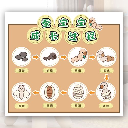 幼儿园春天主题环创植物角种子的生长过程蚕宝宝叶子花的结构墙贴