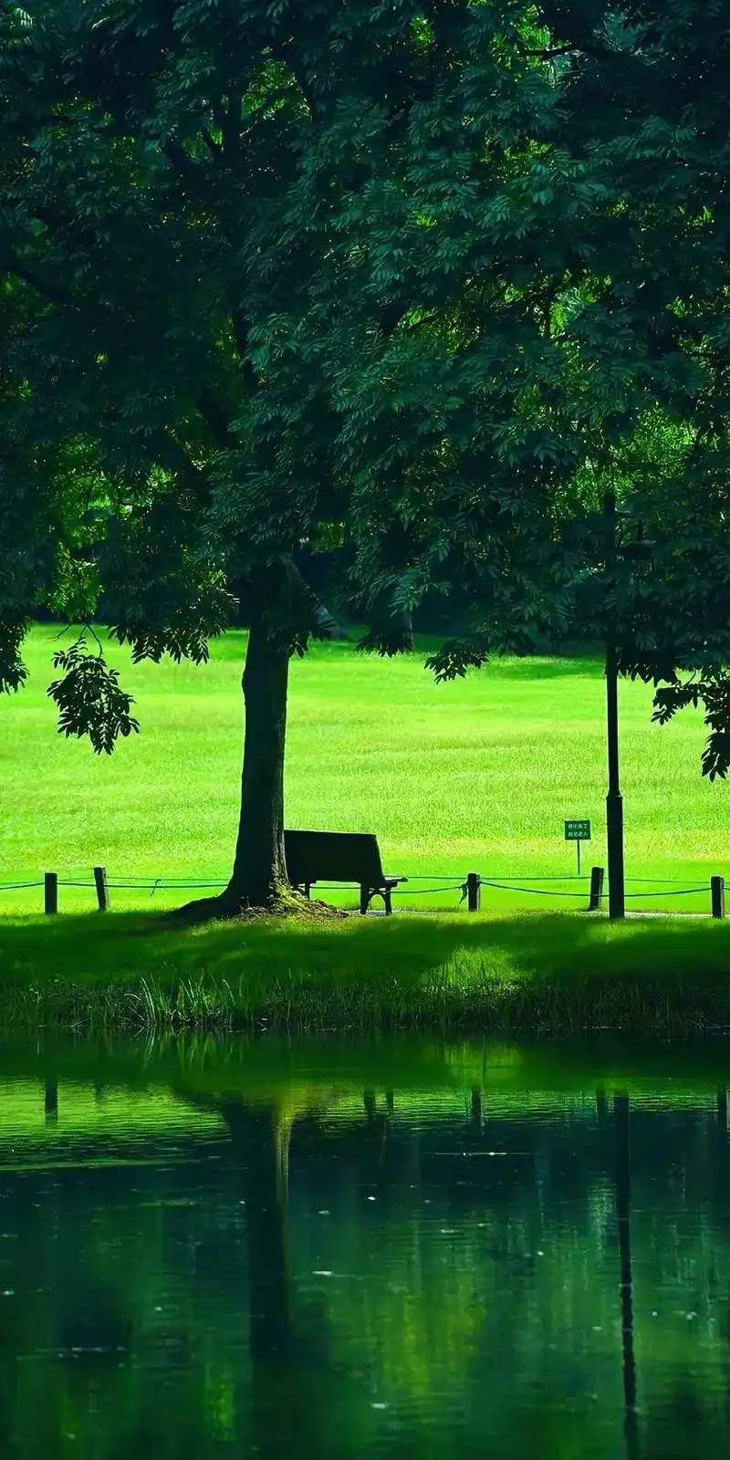 壁纸合集 | 绿色小清新壁纸03 .#聆听大自然的旋律 #最 - 抖音