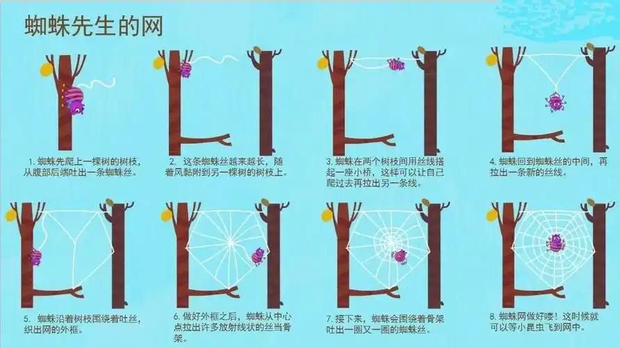 大二班创意美术——蜘蛛先生的网