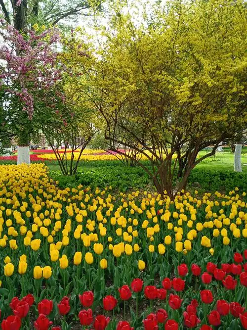 春天美景如画 - 美篇