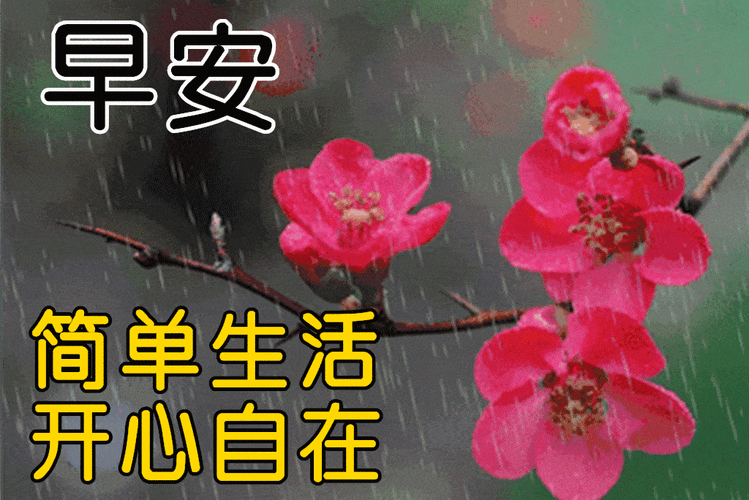 1月9日最漂亮早上好动态表情图片大全早晨好动图美图大全