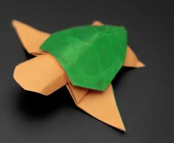 教你折纸乌龟有点意思