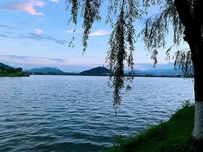 夜月一帘幽梦春风十里柔情