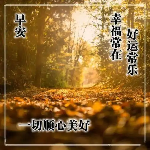 冬天清晨早安温馨问候语早上好鲜花漂亮问候语图片