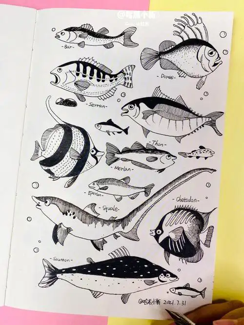 鱼海底生物主题手绘doodle动物钢笔速写