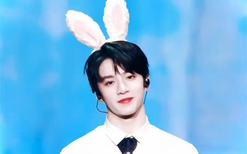 刘耀文兔子警官请立即逮捕我