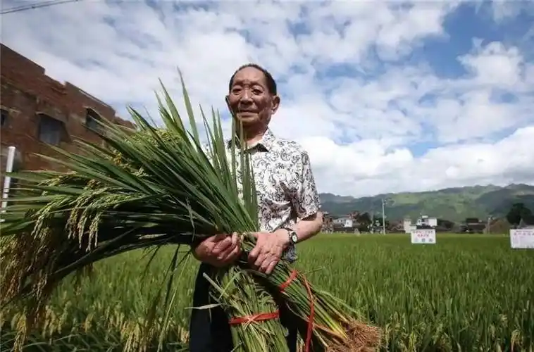 袁隆平不是救世主,但他却愿意拿自己的东西拯救别人.犹记得小学课
