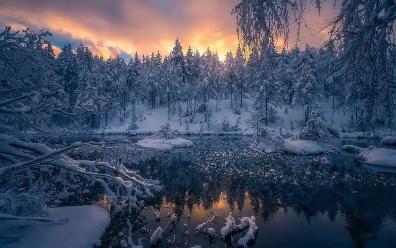 壁纸 冬天,雪,森林,树木,厄里克,挪威
