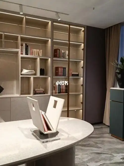 现代简约风定制书柜
