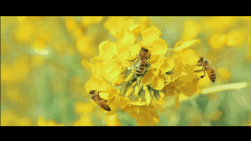 889_500gif 动态图 动图