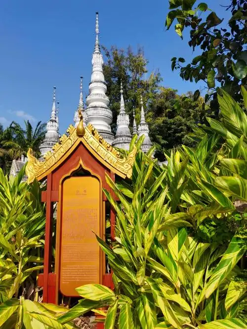 风光版纳快乐游(一)