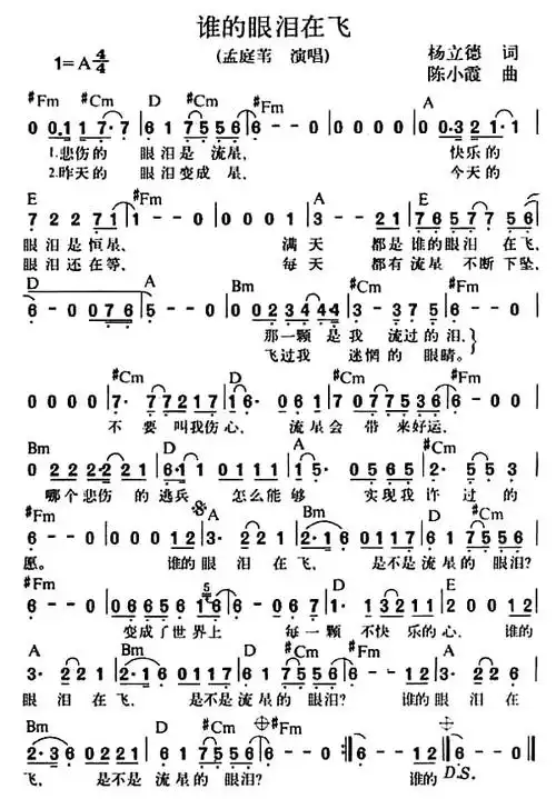 谁的眼泪在飞孟庭苇