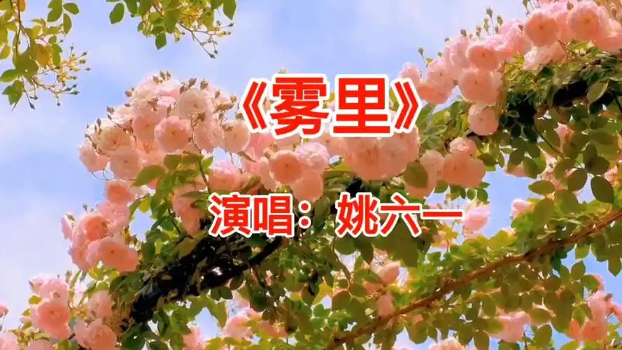 分享姚六一演唱的一首网络热播歌曲《雾里》