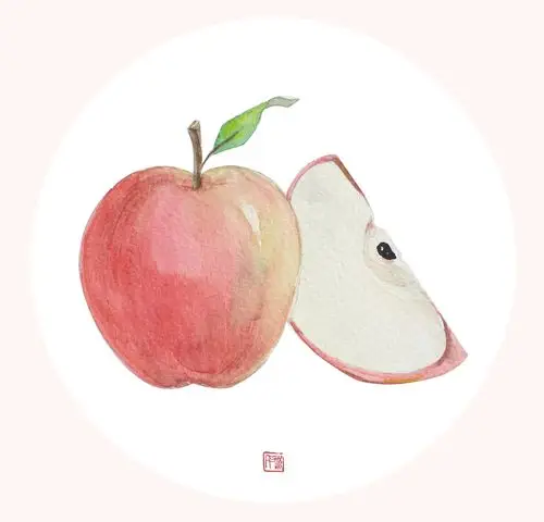 水果 水彩|插画|插画习作|阿彤 - 原创作品 - 站酷 (zcool)