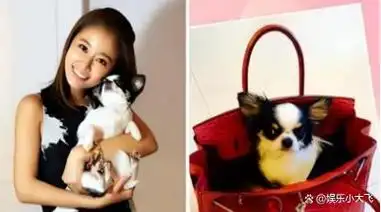 48岁的林心如太美了圆润紧致的肌肤和身材超过了多少女星的脸