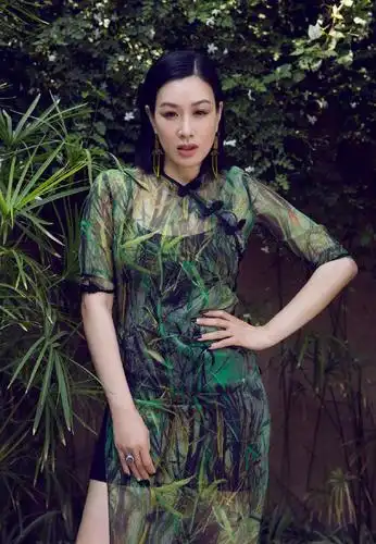 钟丽缇真是大号"水蜜桃",穿改良旗袍秀身材,50岁依旧风韵犹存_女人