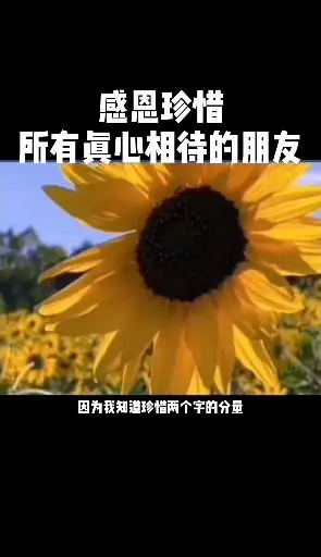 全民正能量#感恩珍惜所有真心相待的朋友