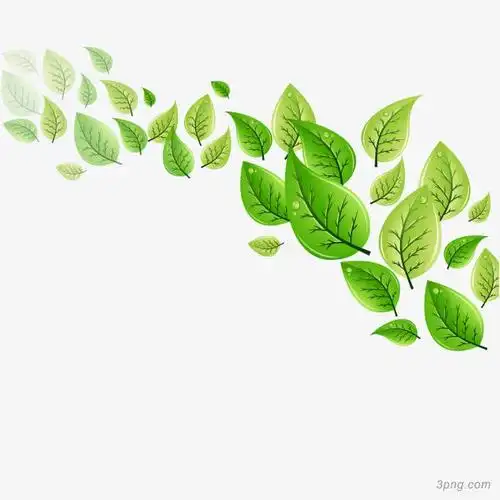 矢量春天叶子png素材透明免抠图片-装饰效果