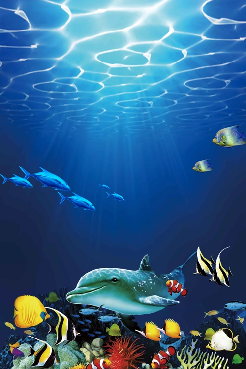 蓝色海洋世界宣传推广活动