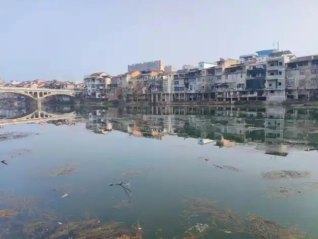 桃源县漆河镇:"清河"行动保绿水,生态健康乡村美