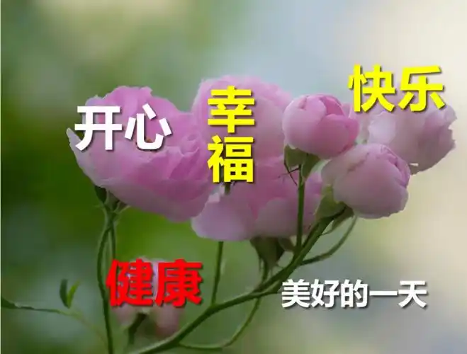 微信最经典的暖心早安问候祝福语早上祝福朋友的问候语图片大全