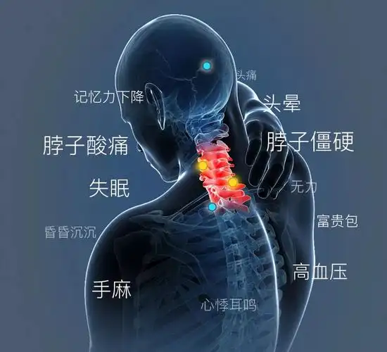 睡眠质量差可能是枕头没找对来试试广东枕头生产厂家这两款枕头