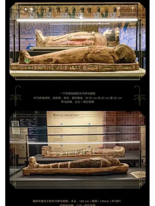 杭州新展60最大规模78木乃伊真身首次亮相