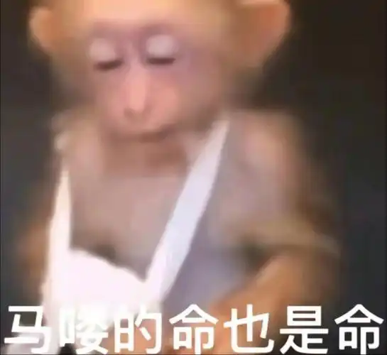 来自两广的方言"吗喽"更是掀起了一波表情包热潮,"吗喽"是猴子的意思