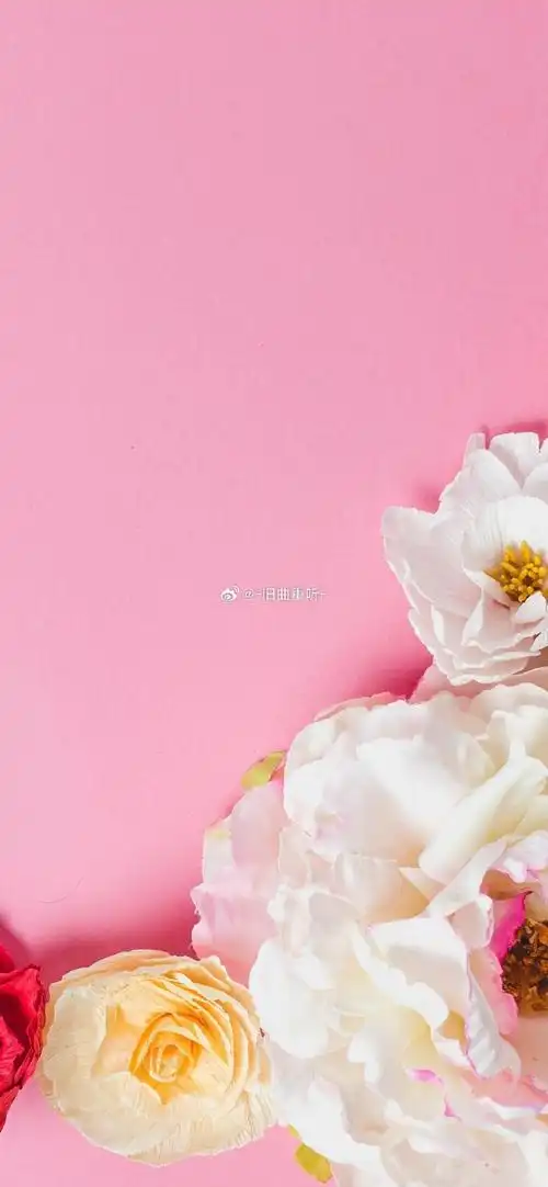 朋友圈背景图##ins手机壁纸简约可爱全屏无水印高清