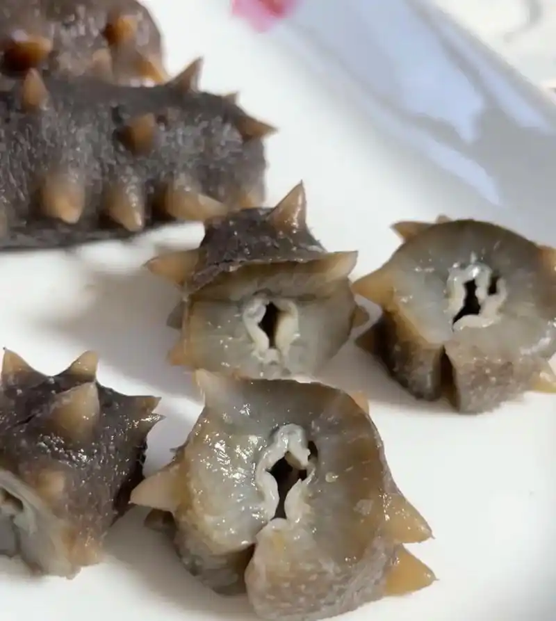 即食海参.人间即风味,美食即相逢,人间有味,日日食全食美,三 - 抖音