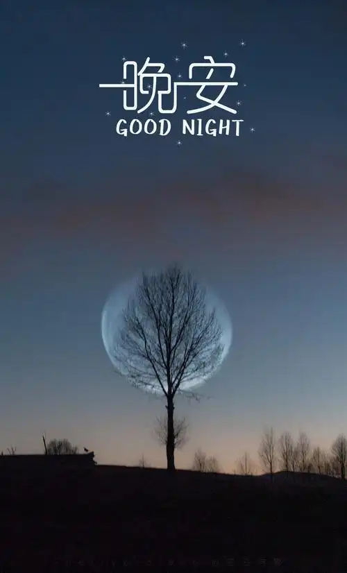 夜已深了晚安各位1080x1920分辨率查看