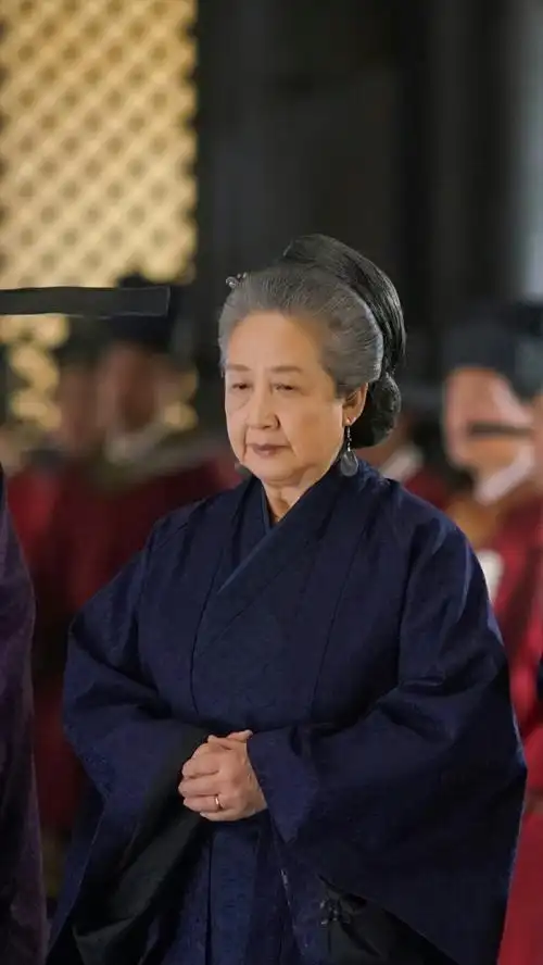 知否知否应是绿肥红瘦王老太太赵淑珍