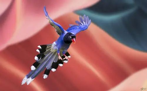 红蓝之舞 500k.jpg