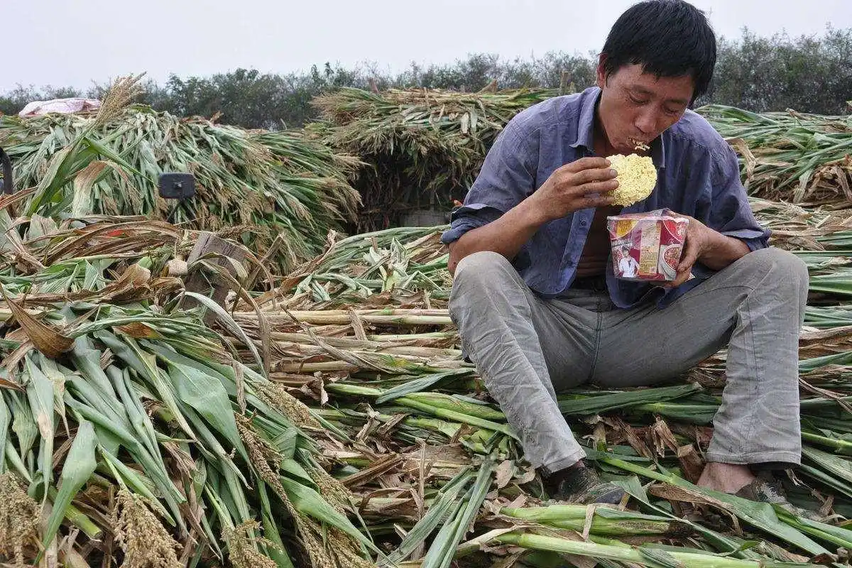 在农村,为什么找媳妇越来越难?农民的回答让人很无奈