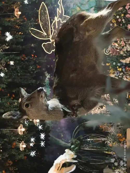 麋鹿闯进了森系童话婚礼