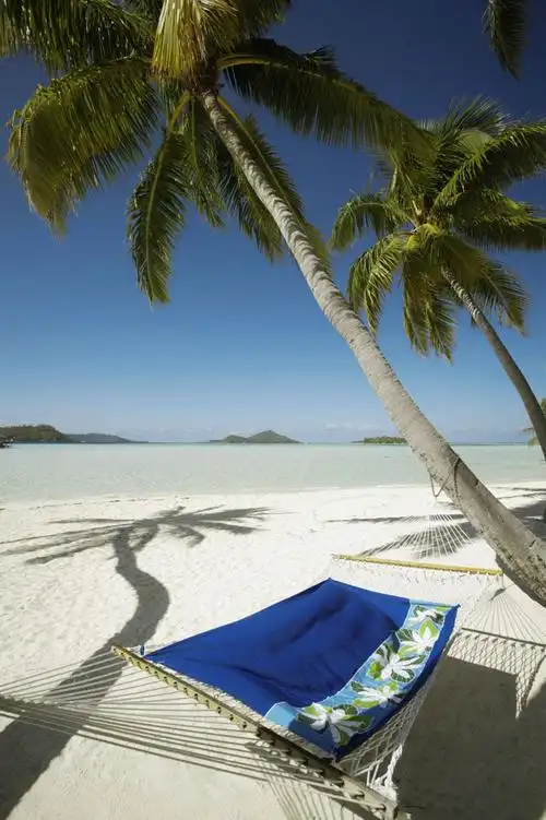 沙滩上的吊床高清图片
