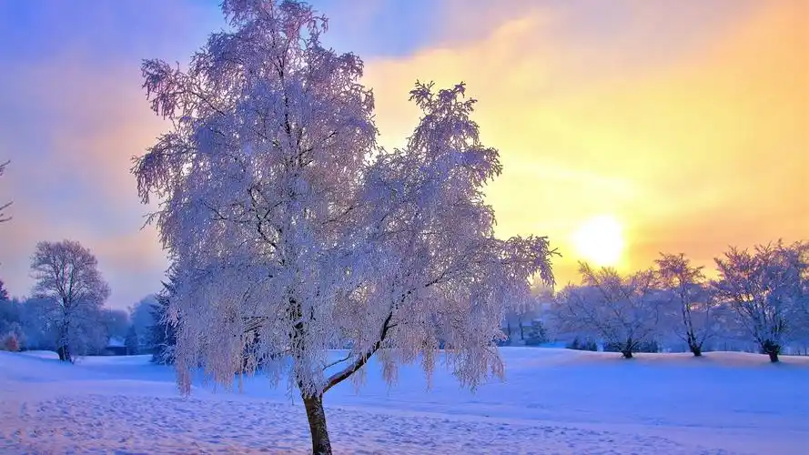 首页 自然和风景 冬季 冬季雪树,霜,天空,太阳,雾 壁纸 下载 1600x900