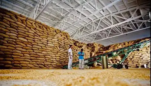 大家都知道稻谷存在粮仓,不知道大家有没有去过当地粮仓?