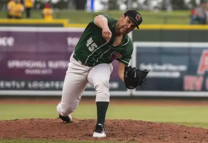 how local pro baseball players fared in 2018